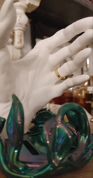 BATH & BODY WORKS HALLOWEEN IVY WITCH HAND SOAP HOLDER - Picture 6 of 8